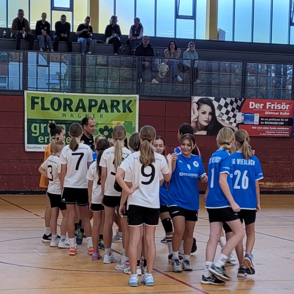 wD-Jugend in Wiesloch